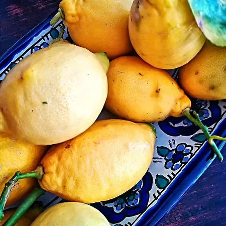 מלון Margherita